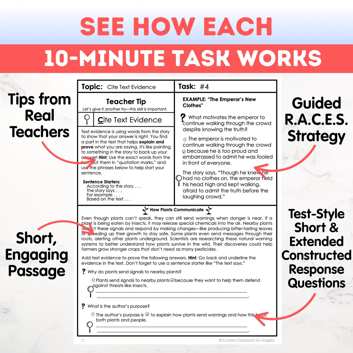 8th Grade Writing Workbook - Digital PDF
