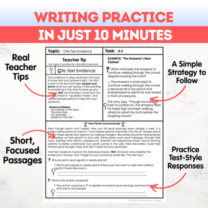 8th Grade Writing Workbook
