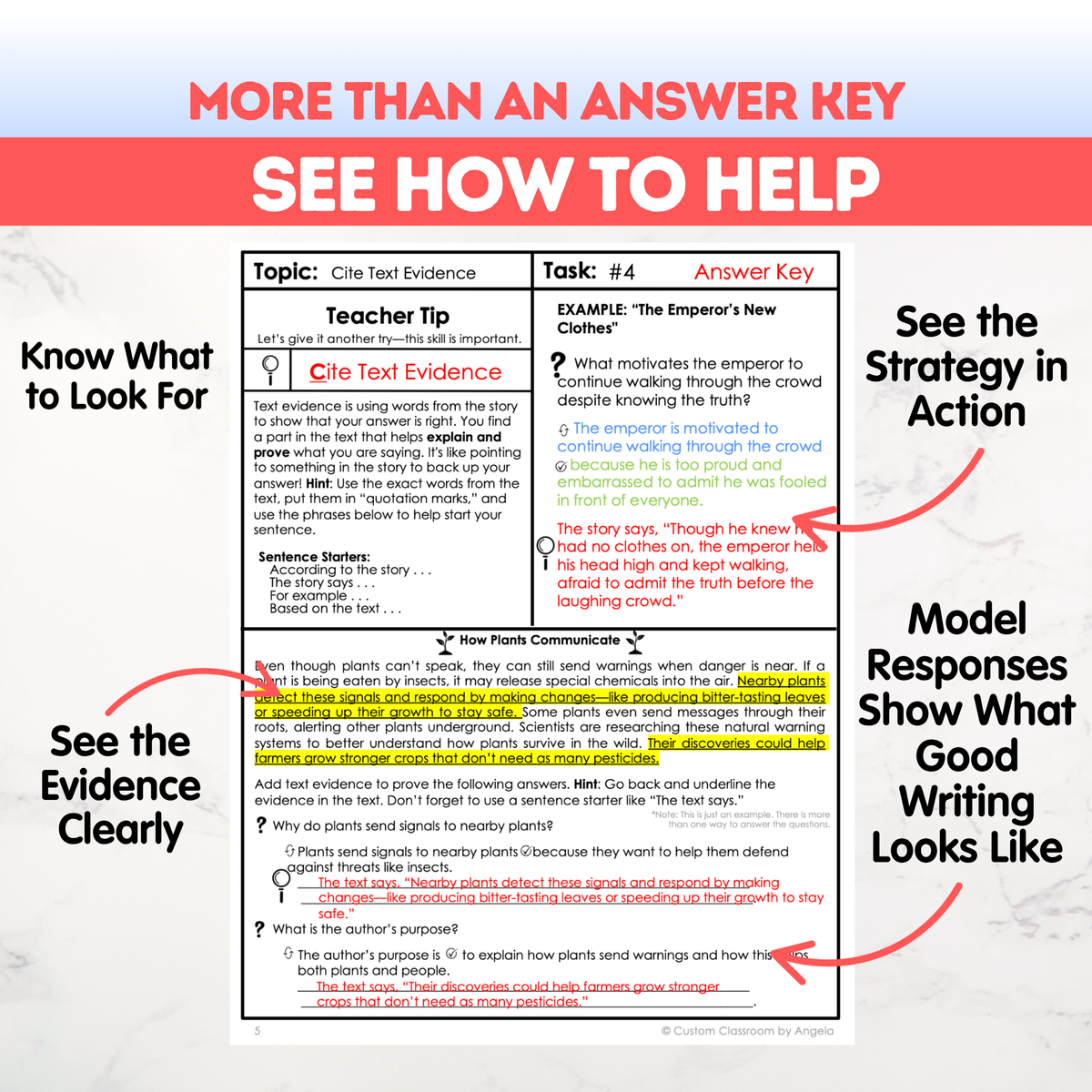 8th Grade Writing Workbook
